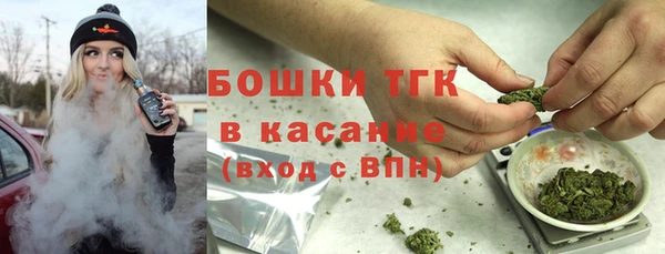 гидра Белокуриха