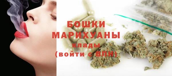 гидра Белокуриха