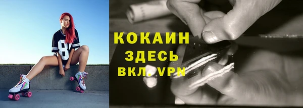 гидра Белокуриха