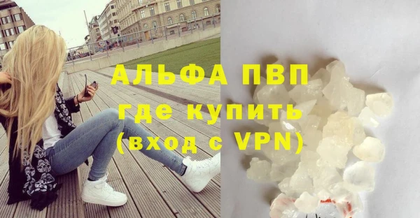 гидра Белокуриха