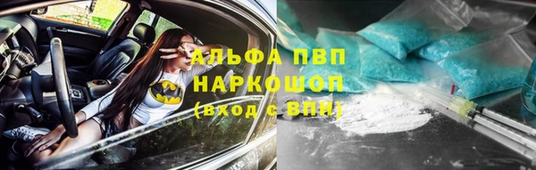 гидра Белокуриха