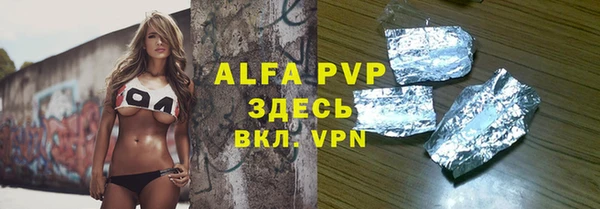 индика Баксан