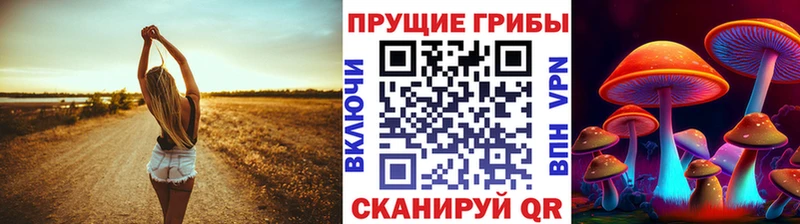 Галлюциногенные грибы мицелий  наркотики  маркетплейс какой сайт  Онега 